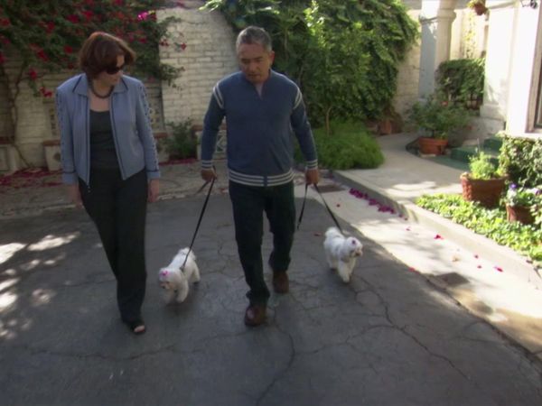Dog Whisperer with Cesar Millan - Terrible Twosome