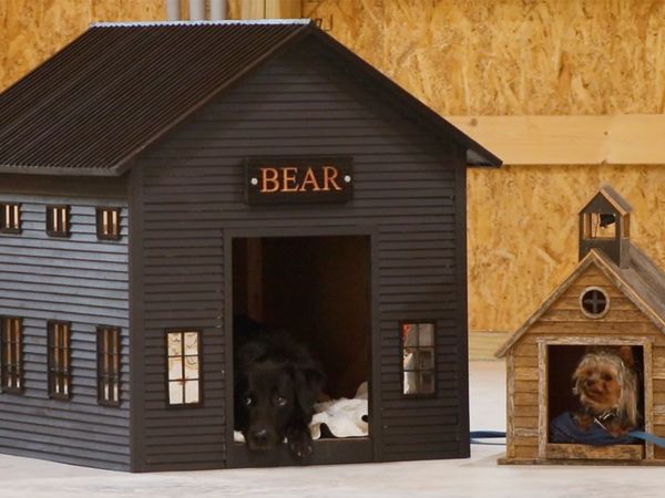 Jimmy DiResta: This Old House Makers Channel - A Doghouse for Bear & Baseboard Window Seats