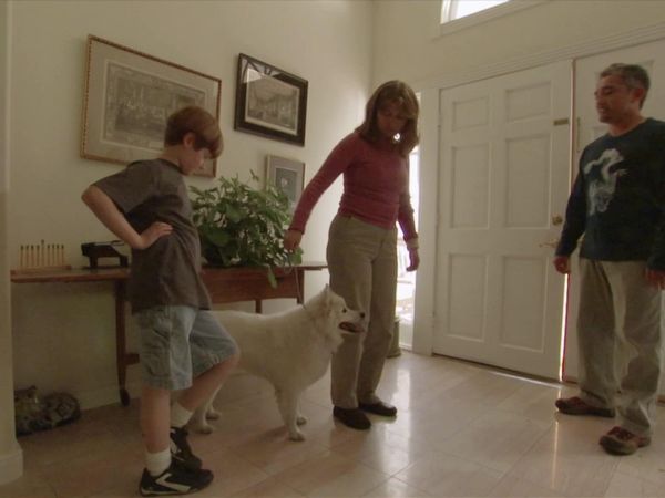 Dog Whisperer with Cesar Millan - Kill or Be Killed