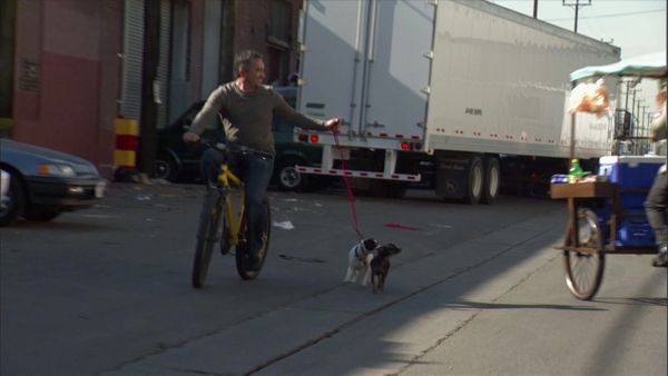 Dog Whisperer with Cesar Millan - Not So Goodfellas