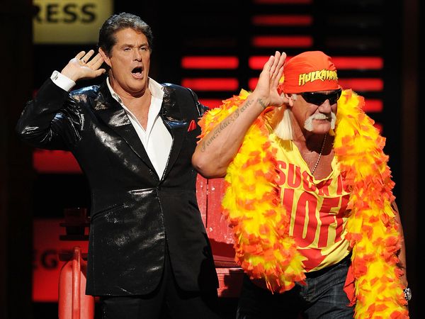 The Roast of - The Roast Of David Hasselhoff