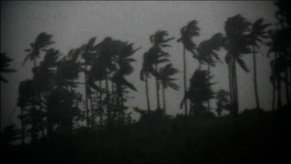 Horas Desesperadas - Viento
