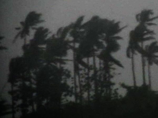 Horas Desesperadas - Viento