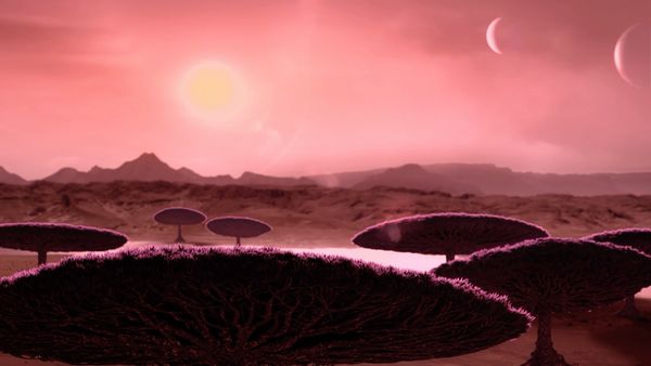 Space Phenomena - Alien Planets