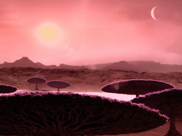 Space Phenomena - Alien Planets