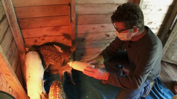 Hope for Wildlife - Hello Beautiful