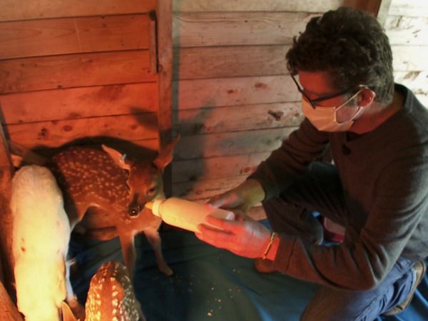 Hope for Wildlife - Hello Beautiful