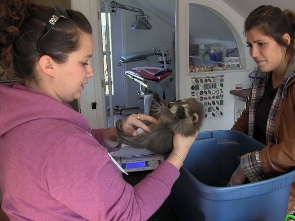 Hope for Wildlife - May is the New June