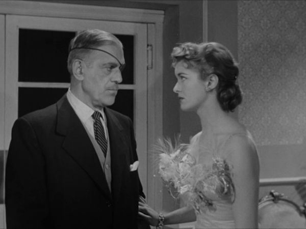 Colonel March of Scotland Yard - At Night All Cats are Gray