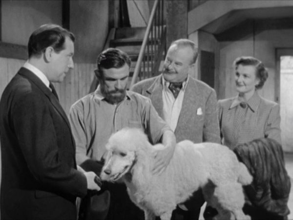 Colonel March of Scotland Yard - The Case of the Kidnapped Poodle