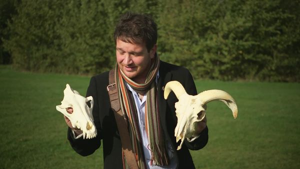 Secrets of Bones - Food for Thought