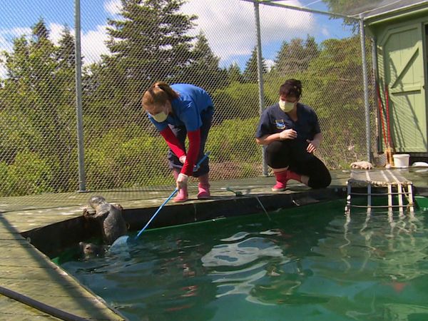 Hope for Wildlife - Lodge And Order