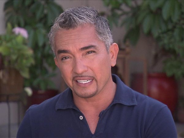Dog Whisperer with Cesar Millan - Pop Star Fallout