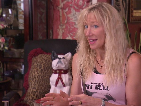Dog Whisperer with Cesar Millan - Chuihuahuas from Hell