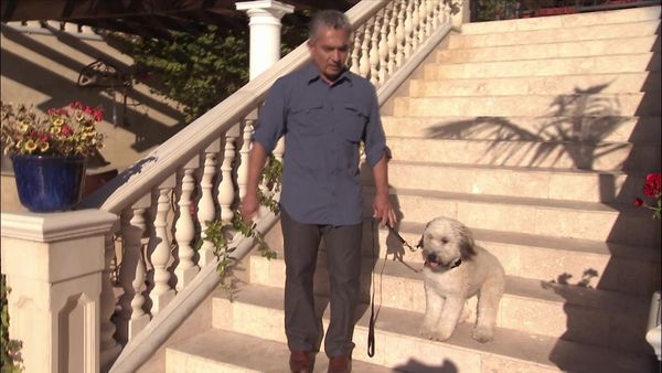 Dog Whisperer with Cesar Millan - K-9 Phobia