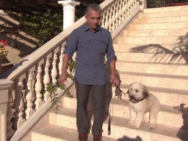 Dog Whisperer with Cesar Millan - K-9 Phobia