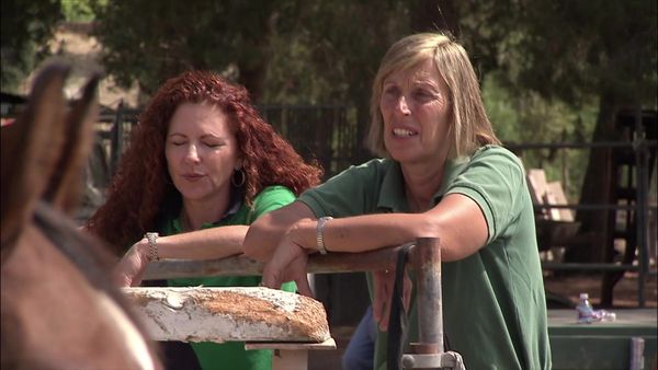 Dog Whisperer with Cesar Millan - Cesar and the Horse Whisperer