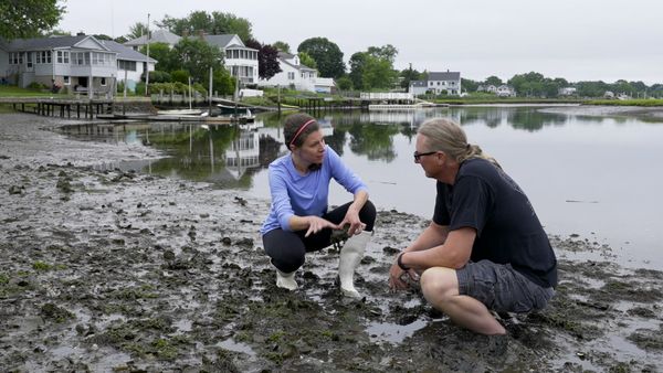 Road Trip Masters - Old Saybrook CT