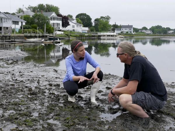 Road Trip Masters - Old Saybrook CT