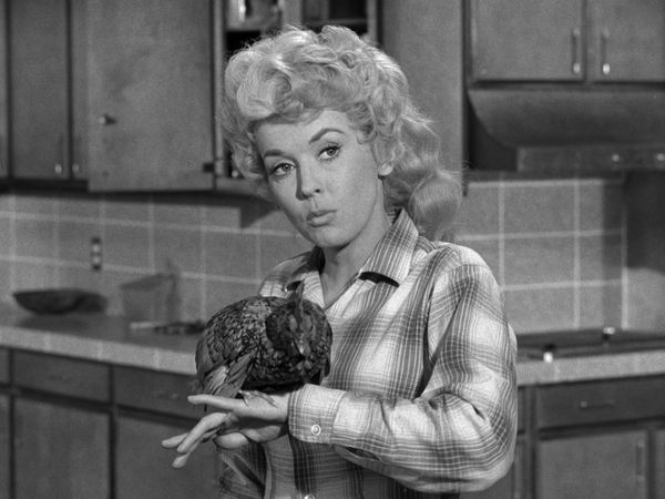The Beverly Hillbillies - Elly Becomes A Secretary