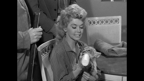 The Beverly Hillbillies - Jed Becomes A Banker