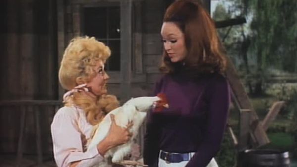 The Beverly Hillbillies - Annul That Marriage