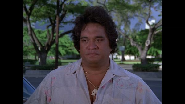 Hawaii Five-0 - Good Help Is Hard To Find