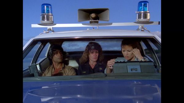 Hawaii Five-0 - Voice Of Terror