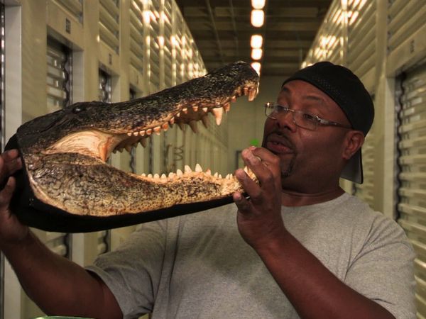 Storage Wars: Miami - Don't Hate the Gator, Hate the Gate