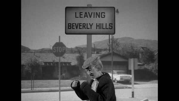 The Beverly Hillbillies - Jed The Bachelor