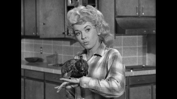 The Beverly Hillbillies - Elly Becomes A Secretary