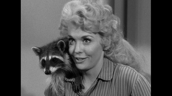 The Beverly Hillbillies - Chickadee Returns