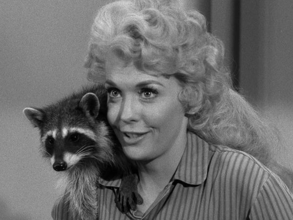 The Beverly Hillbillies - Chickadee Returns