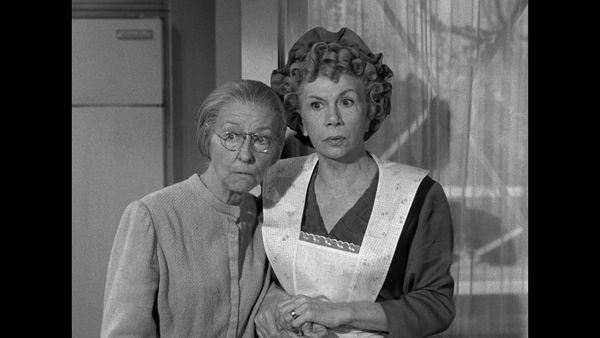 The Beverly Hillbillies - The Family Tree