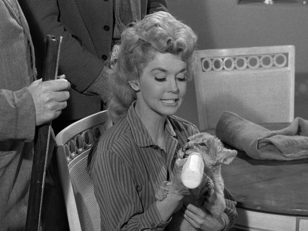 The Beverly Hillbillies - Jed Becomes A Banker