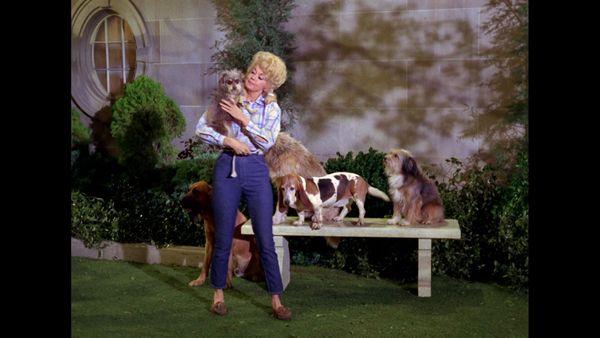 The Beverly Hillbillies - Possum Day
