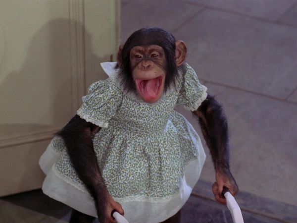 The Beverly Hillbillies - Granny Tonics A Birdwatcher