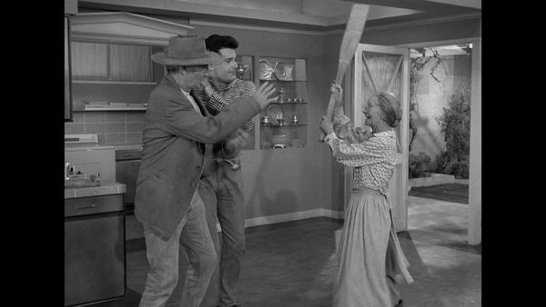 The Beverly Hillbillies - Teenage Idol