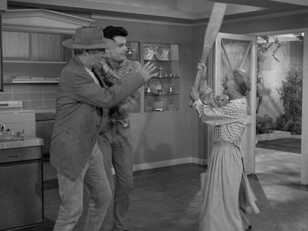 The Beverly Hillbillies - Teenage Idol