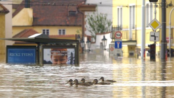 Pronóstico Fatal - Inundaciones