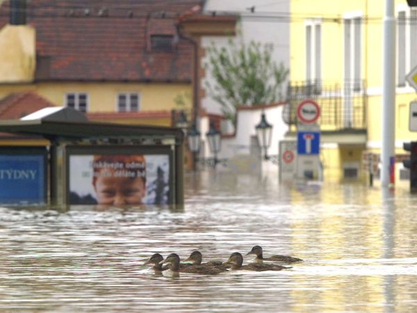Pronóstico Fatal - Inundaciones