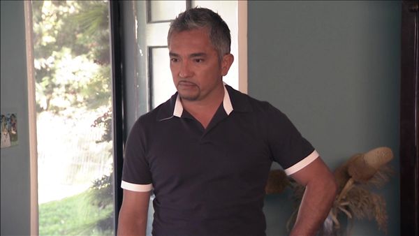 Dog Whisperer with Cesar Millan - Blood Brothers