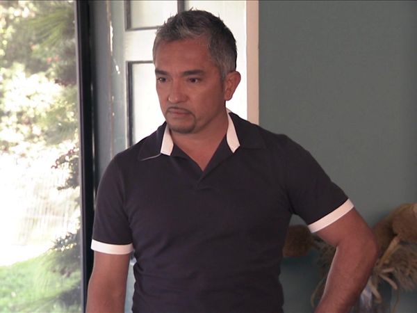 Dog Whisperer with Cesar Millan - Blood Brothers