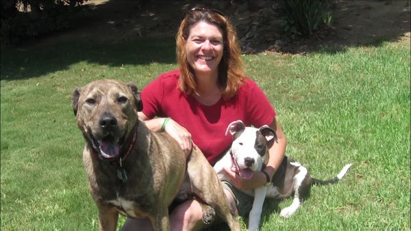 Dog Whisperer with Cesar Millan - Family Feud
