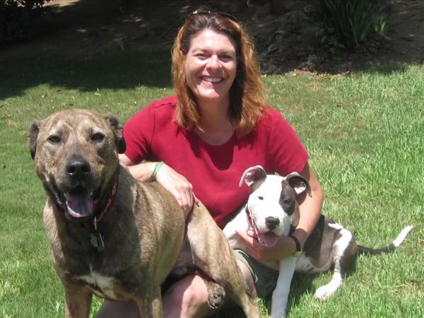 Dog Whisperer with Cesar Millan - Family Feud