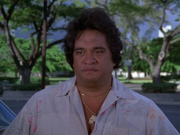 Hawaii Five-0 - Good Help Is Hard To Find