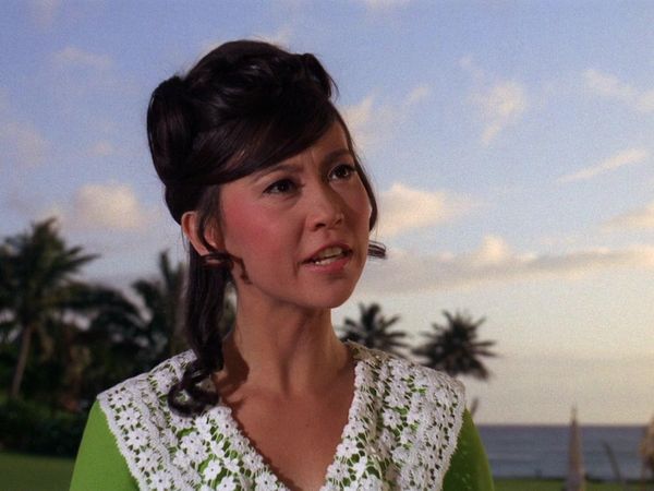 Hawaii Five-0 - Samurai