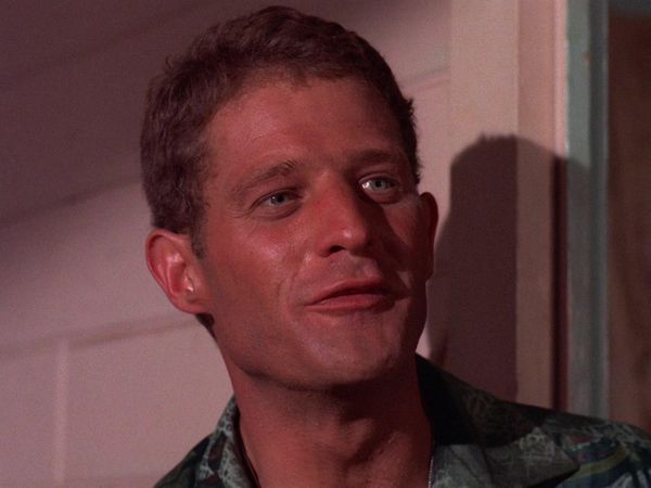 Hawaii Five-0 - Tiger By The Tail