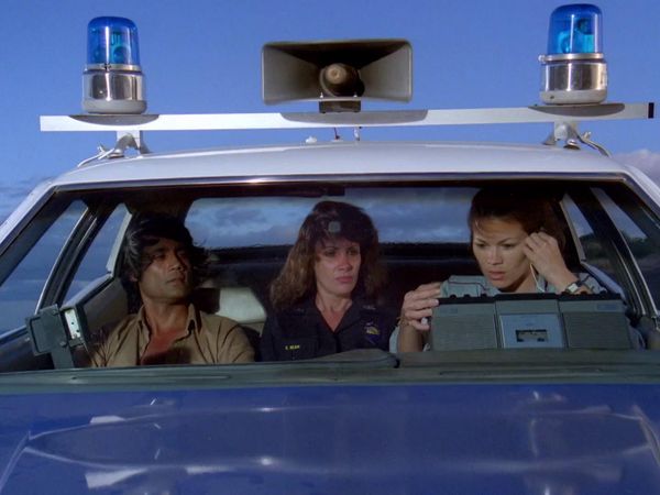 Hawaii Five-0 - Voice Of Terror