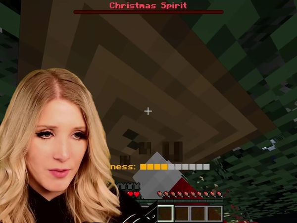 BriannaPlayz - I Found a Santa Only Minecraft Server! / I Spent 24 Hours in Baby Preston's Minecraft House!